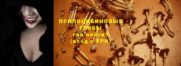 ГАЛЛЮЦИНОГЕННЫЕ ГРИБЫ Белокуриха