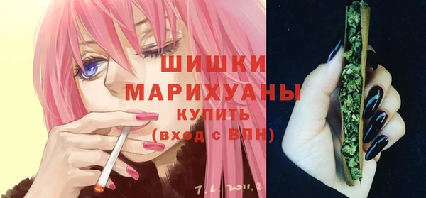 ГАЛЛЮЦИНОГЕННЫЕ ГРИБЫ Белокуриха