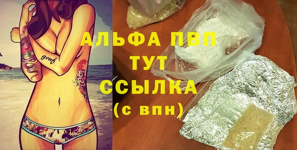 шишки Беломорск