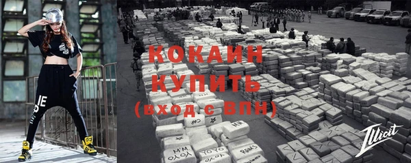 шишки Беломорск