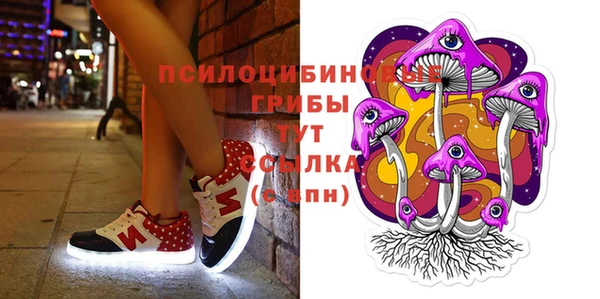 шишки Беломорск