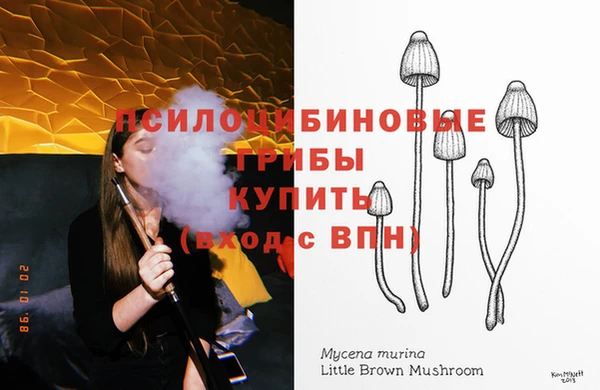 хмурый Магадан