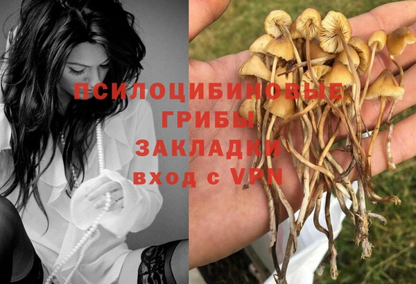 a pvp Белоозёрский
