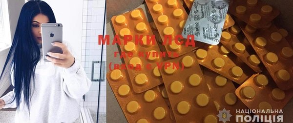 ГАЛЛЮЦИНОГЕННЫЕ ГРИБЫ Белокуриха