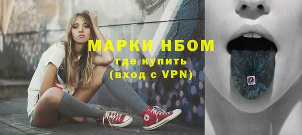 ГАЛЛЮЦИНОГЕННЫЕ ГРИБЫ Белокуриха