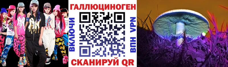 shop какой сайт  Кудымкар  Псилоцибиновые грибы Psilocybe 