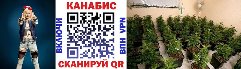 купить наркотик  Кудымкар  kraken вход  Канабис LSD WEED 